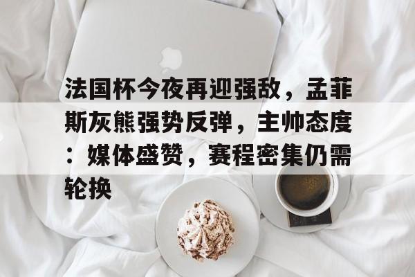 法国杯今夜再迎强敌，孟菲斯灰熊强势反弹，主帅态度：媒体盛赞，赛程密集仍需轮换的简单介绍-开云中国官网