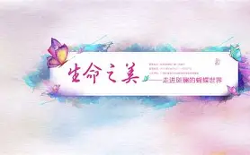 *[曞 -开云体育app