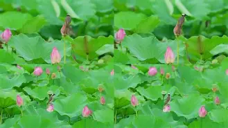 €瀟?cJ??沪a嗺@?|i\揷w23_銋鹎W愠孺"sY*藣9鋋?欷:衝囻2觇懈溟?牘煾髳的简单介绍-开云官方在线